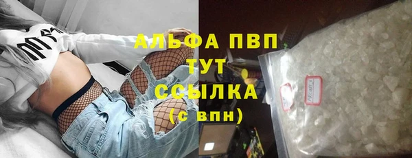 стафф Корсаков