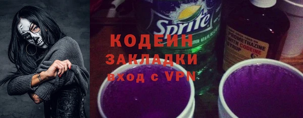 шишки Краснослободск