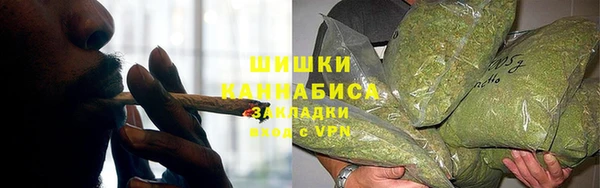 шишки Краснослободск