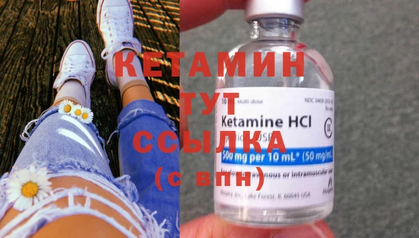 сатива Коряжма