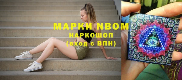 шишки Краснослободск
