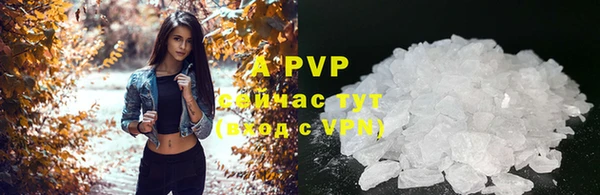 PSILOCYBIN Куйбышев