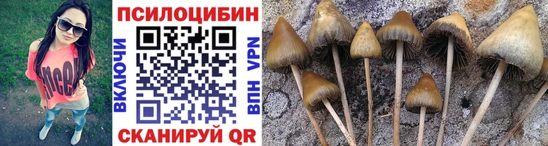 Галлюциногенные грибы мицелий  как найти закладки  Лиски 